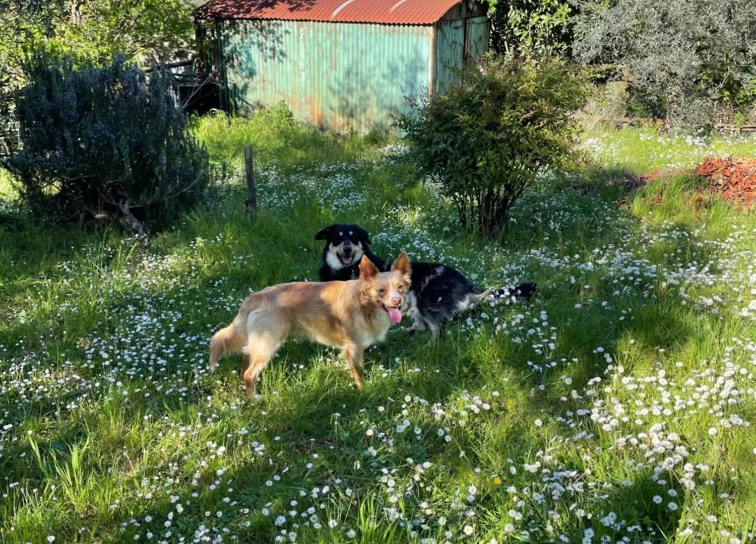 A Casa Della Nonna Villa Seano Holiday home